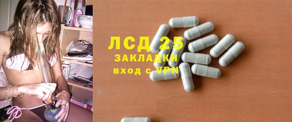 PSILOCYBIN Каменка