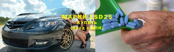PSILOCYBIN Каменка