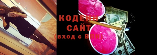 PSILOCYBIN Каменка