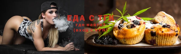 PSILOCYBIN Каменка