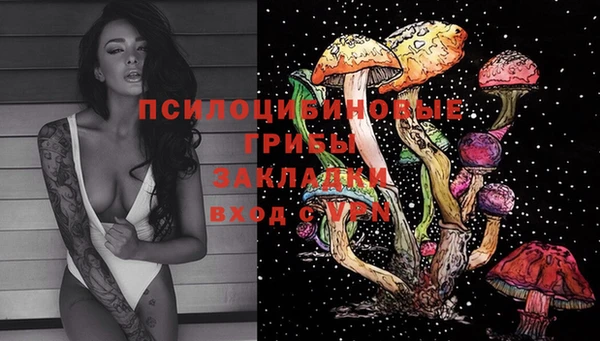 ПСИЛОЦИБИНОВЫЕ ГРИБЫ Каменск-Шахтинский