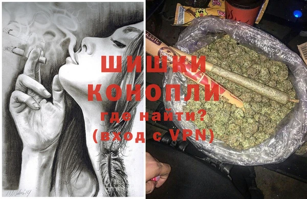 PSILOCYBIN Каменка