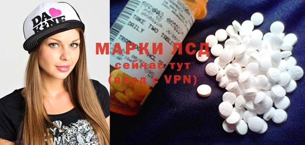 PSILOCYBIN Каменка