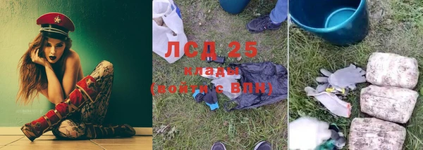 PSILOCYBIN Каменка
