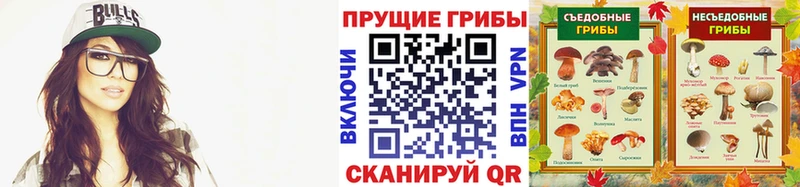 Купить закладки  Печора  Псилоцибиновые грибы GOLDEN TEACHER 